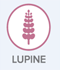 Logo allergie voor Lupine